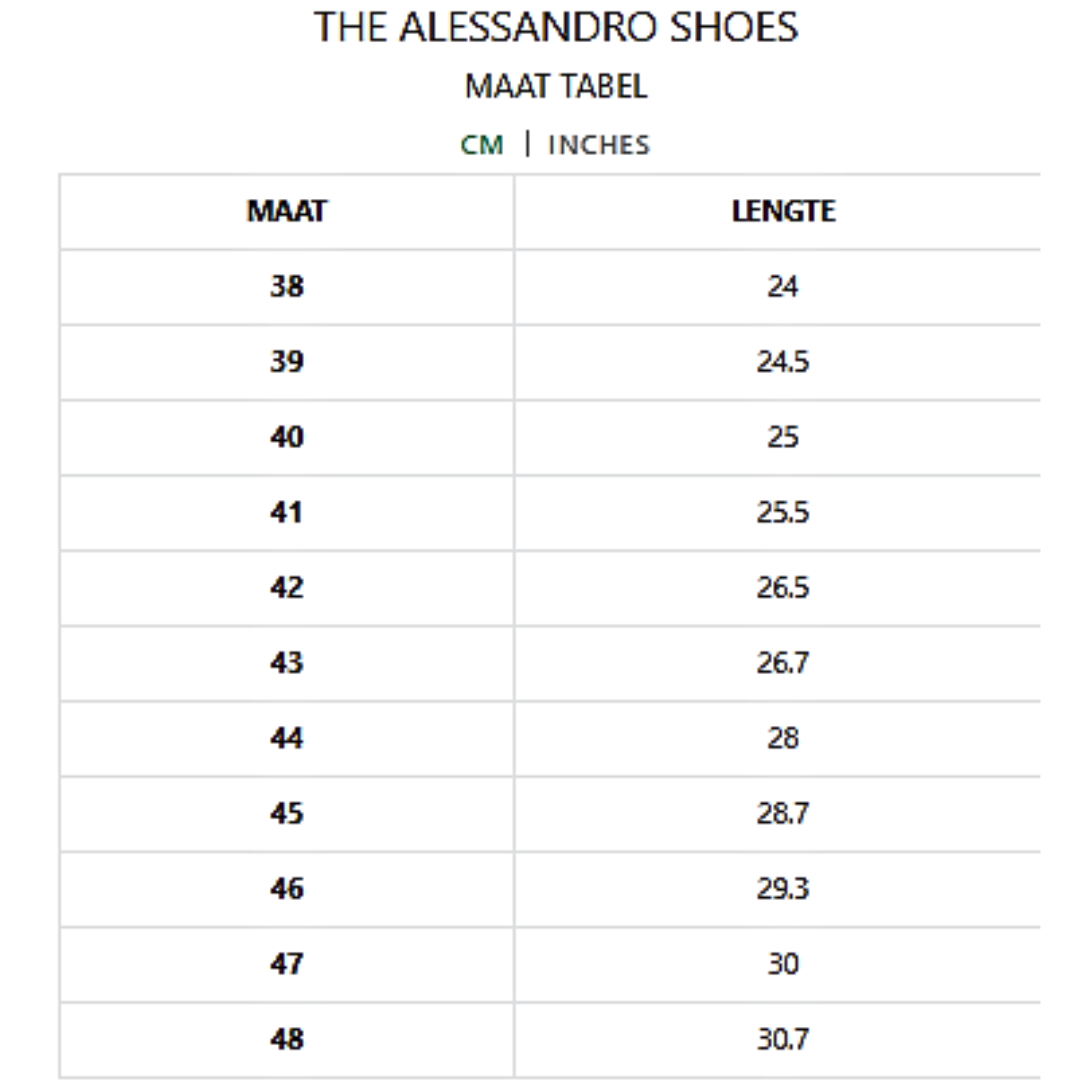 THE ALESSANDRO SHOES