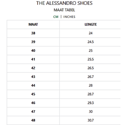 THE ALESSANDRO SHOES