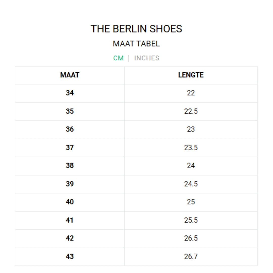 THE BERLIN SHOES
