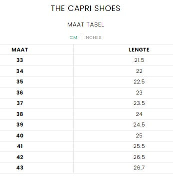 THE CAPRI SHOES